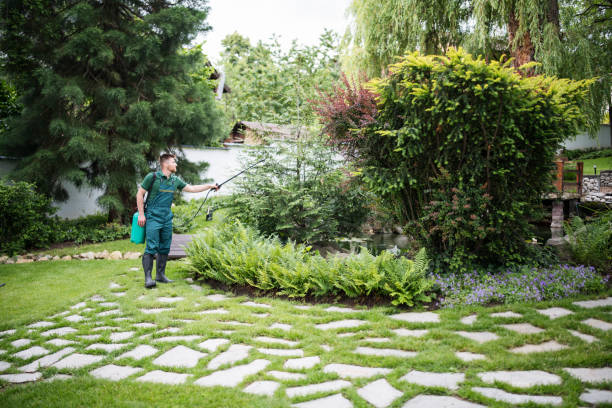 Best Affordable Pest Control Services  in Sunset, LA