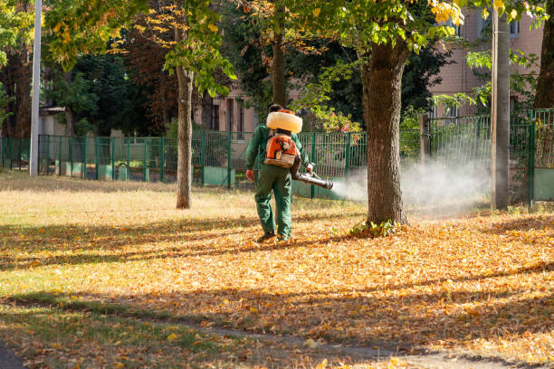 Best Wildlife Control Services  in Sunset, LA