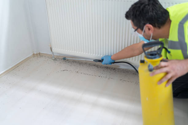 Best Bed Bug Extermination  in Sunset, LA